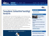 Bild zum Artikel: Tierquälerei: Schlachthof bestätigt Vorwürfe