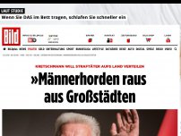 Bild zum Artikel: Grünen-MP Kretschmann - »Männerhorden raus aus Großstädten