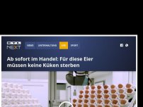 Bild zum Artikel: Ab sofort im Handel: Für diese Eier müssen keine Küken sterben