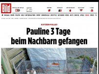 Bild zum Artikel: Katzen-Falle - Pauline drei Tage beim Nachbarn gefangen