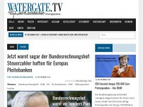 Bild zum Artikel: Jetzt warnt sogar der Bundesrechnungshof: Steuerzahler haften für Europas Pleitebanken