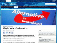 Bild zum Artikel: AfD meldet weitere Großspende - diesmal aus Belgien