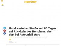 Bild zum Artikel: Hund wartet an Straße seit 80 Tagen auf Rückkehr des Herrchens, das dort bei Autounfall starb