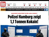 Bild zum Artikel: Polizei zeigt Mega-Fund - Hier liegen 1,1 Tonnen Koks