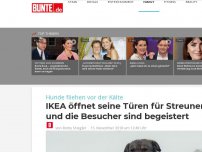 Bild zum Artikel: Hunde fliehen vor der Kälte: IKEA öffnet seine Türen für Streuner – und die Besucher sind begeistert