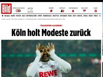 Bild zum Artikel: Transfer-Hammer! - Köln holt Modeste zurück