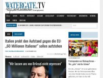 Bild zum Artikel: Italien probt den Aufstand gegen die EU: „60 Millionen Italiener“ sollen aufstehen