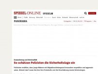 Bild zum Artikel: Zuwanderung und Kriminalität: So schätzen Polizisten die Sicherheitslage ein