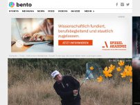 Bild zum Artikel: Trump besucht Waldbrand-Orte in Kalifornien – sagt, die Leute hätten mehr Laub fegen sollen