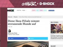 Bild zum Artikel: Diese Ikea-Filiale nimmt streunende Hunde auf