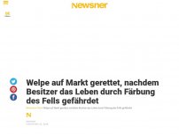 Bild zum Artikel: Welpe auf Markt gerettet, nachdem Besitzer das Leben durch Färbung des Fells gefährdet