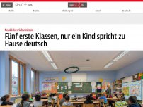 Bild zum Artikel: „Wir sind arabisiert“ – Muttersprache Deutsch? Fehlanzeige!