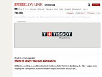 Bild zum Artikel: Streit über Parteispenden: Merkel lässt Weidel auflaufen