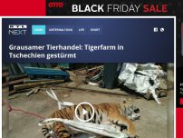Bild zum Artikel: Grausamer Tierhandel: Tigerfarm in Tschechien gestürmt