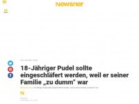 Bild zum Artikel: 18-Jähriger Pudel sollte eingeschläfert werden, weil er seiner Familie „zu dumm“ war