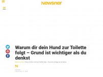 Bild zum Artikel: Warum dir dein Hund zur Toilette folgt – Grund ist wichtiger als du denkst