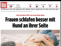 Bild zum Artikel: Partner stört Nachtruhe mehr - Frauen schlafen besser mit Hund an ihrer Seite