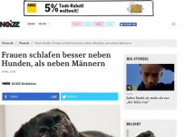 Bild zum Artikel: Frauen schlafen besser neben Hunden, als neben Männern