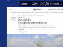 Bild zum Artikel: Insektensterben: Der globale Insektenzusammenbruch