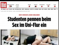 Bild zum Artikel: Stockender Verkehr - Studenten pennen beim Sex im Uni-Flur ein