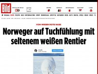 Bild zum Artikel: Von wegen rote Nase - Norweger auf Tuchfühlung mit seltenem weißen Rentier