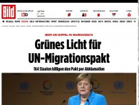 Bild zum Artikel: Merkel beim Migrationspakt-Gipfel - Was sind die Beschlüsse des Bundestages wert?