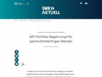 Bild zum Artikel: AfD-Abgeordneter Räpple von Polizei aus Landtag geführt