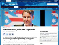 Bild zum Artikel: Immunität von Björn Höcke aufgehoben