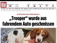 Bild zum Artikel: Er war wohl nicht mehr gewollt - „Trooper“ wurde aus fahrendem Auto geschmissen