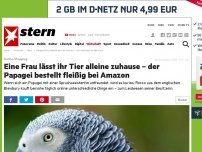 Bild zum Artikel: Online-Shopping: Eine Frau lässt ihr Tier alleine zuhause – der Papagei bestellt fleißig bei Amazon