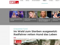 Bild zum Artikel: Grausamer Fund: Im Wald zum Sterben ausgesetzt - Radfahrer retten Hund das Leben