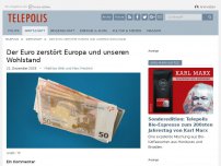 Bild zum Artikel: Der Euro zerstört Europa und unseren Wohlstand