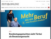 Bild zum Artikel: Syrien: Bundestags-Gutachten sieht Türkei als Besatzungsmacht