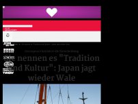 Bild zum Artikel: Sie nennen es 'Tradition und Kultur': Japan jagt wieder Wale