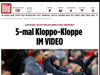 Bild zum Artikel: 5-Tore-Party gegen Arsenal - Bei Klopp klappt einfach alles