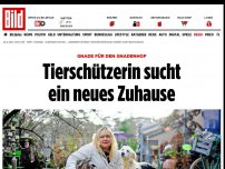 Bild zum Artikel: Gnade für den Gnadenhof - Tierschützerin sucht ein neues Zuhause