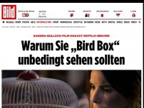 Bild zum Artikel: Netflix-Rekord Geknackt - Warum Sie „Bird Box“ unbedingt sehen sollten