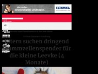 Bild zum Artikel: Eltern suchen dringend Stammzellenspender für die kleine Leevke (4 Monate)