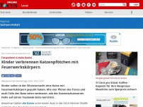 Bild zum Artikel: Halle (Saale) - Tierquälerei: Kinder verbrennen Katzenpfötchen mit Feuerwerkskörpern