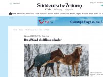 Bild zum Artikel: Haustiere: Das Pferd als Klimasünder