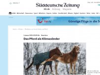 Bild zum Artikel: Haustiere: Das Pferd als Klimasünder