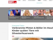 Bild zum Artikel: Grausame Taten: Kinder quälen Tiere mit Silvesterfeuerwerk!