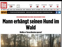 Bild zum Artikel: grausige Tat - Mann erhängt seinen Hund im Wald