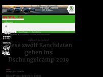 Bild zum Artikel: Dschungelcamp 2019: Diese zwölf Promis sind dabei