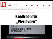 Bild zum Artikel: Politesse kennt Auto nicht - Knöllchen für „Pferd vorn“