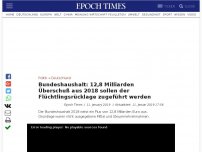 Bild zum Artikel: Bundeshaushalt: 12,8 Milliarden Überschuß aus 2018 sollen der Flüchtlingsrücklage zugeführt werden