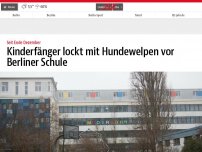 Bild zum Artikel: Kinderfänger lockt mit Hundewelpen vor Berliner Schule