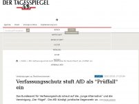 Bild zum Artikel: Verfassungsschutz stuft AfD als 'Prüffall' ein