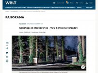 Bild zum Artikel: Sabotage in Mastbetrieb – 900 Schweine verendet