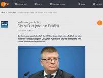 Bild zum Artikel: Verfassungsschutz erklärt AfD bundesweit zum Prüffall